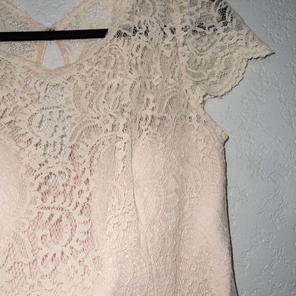NWT Jenny Peckham Blush Lace & Crepe Column Gown Size 12 - Picture 4 of 10